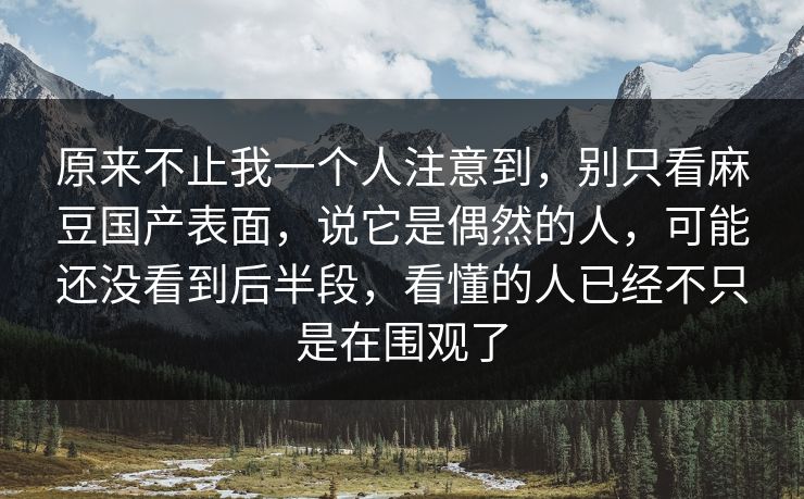 原来不止我一个人注意到，别只看麻豆国产表面，说它是偶然的人，可能还没看到后半段，看懂的人已经不只是在围观了