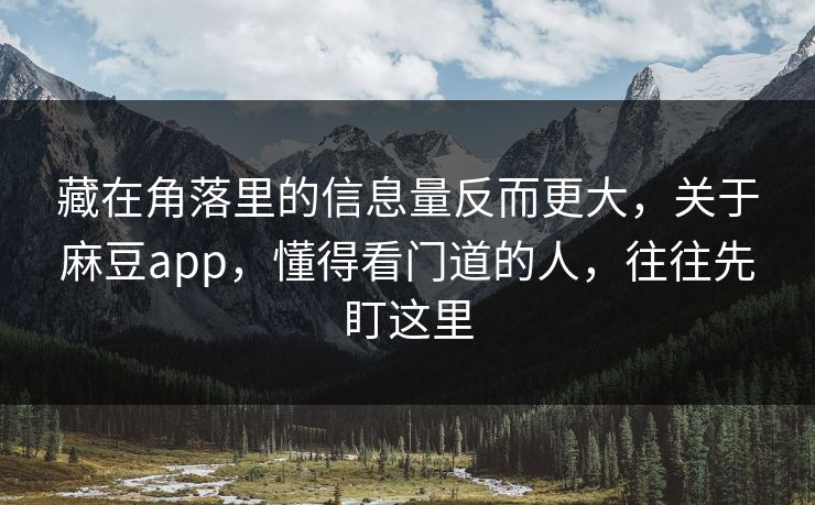 藏在角落里的信息量反而更大，关于麻豆app，懂得看门道的人，往往先盯这里